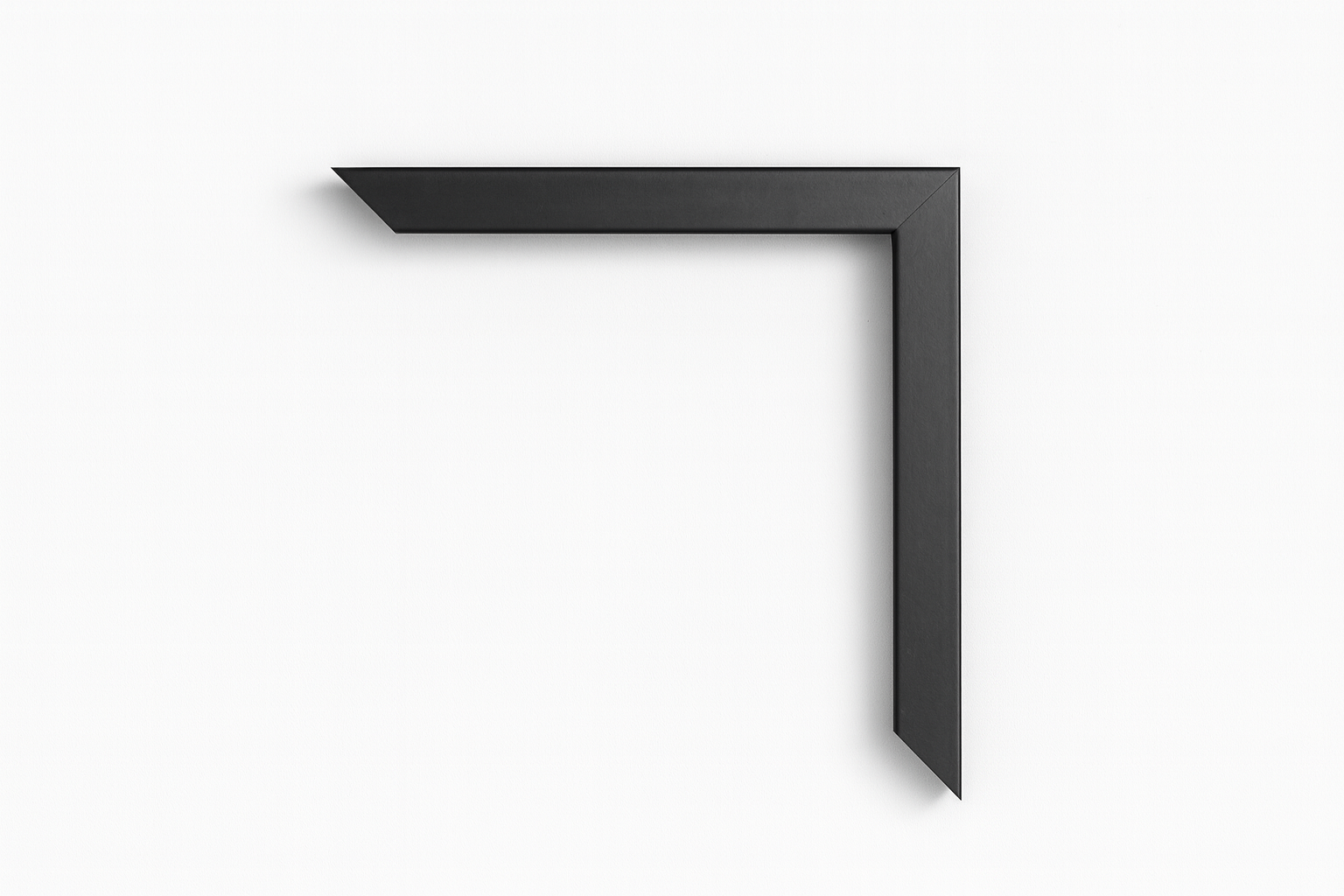 ChatGPT Image 10 oct. 2025, 12_16_28 (1)