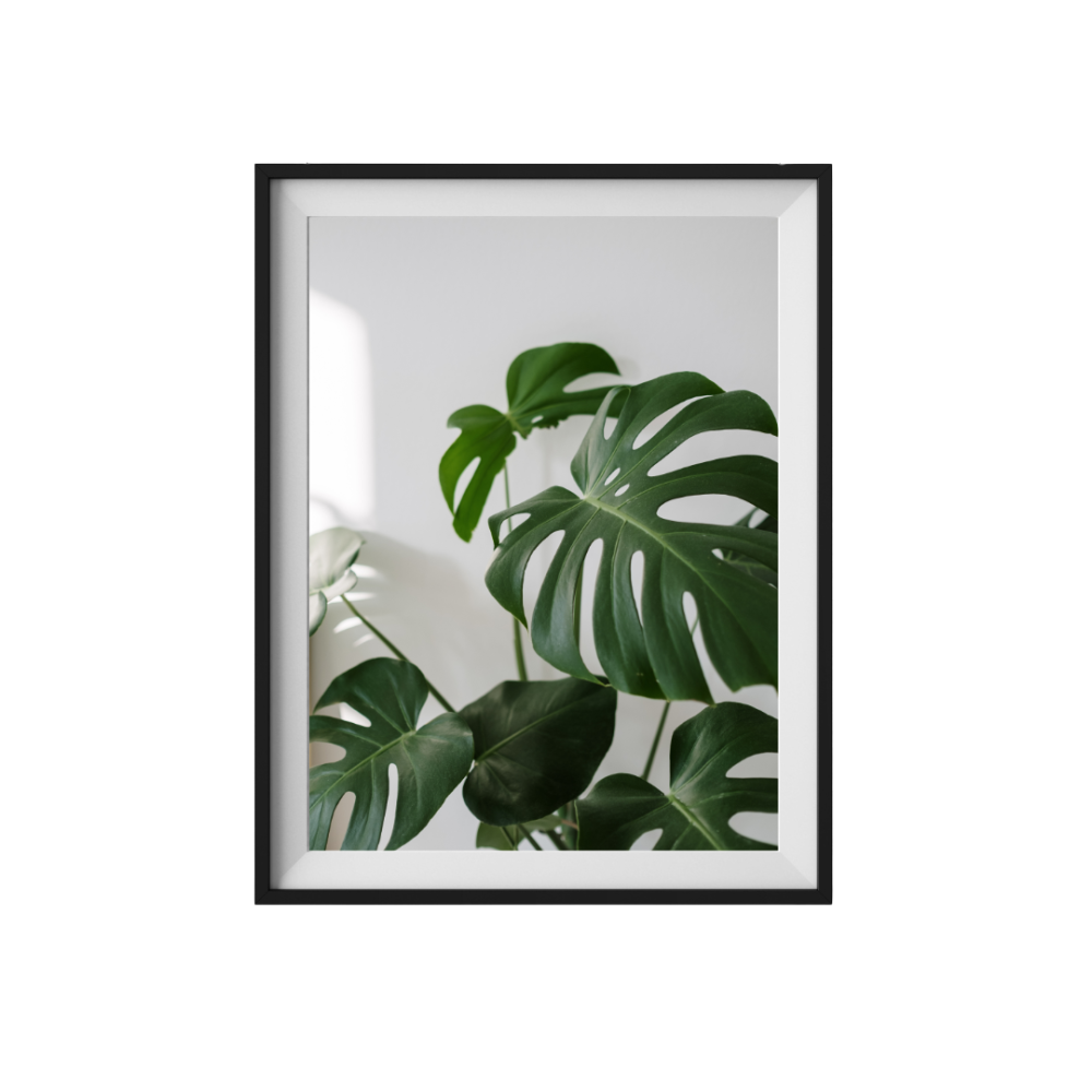 NVX - Images Cadres Site Web (Publication Instagram (45)) (6)