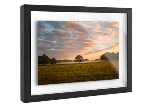 SERLAFLEUR - SNAKE LOGO